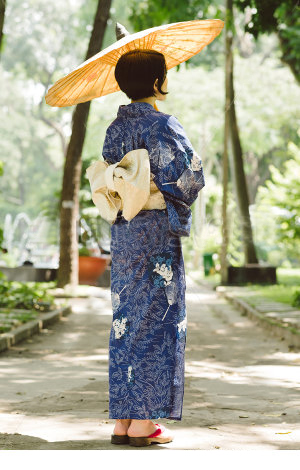 Traditional Japanese Kimono
